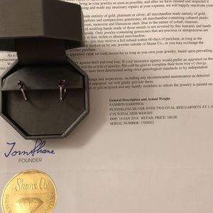 Garnet earrings and necklace